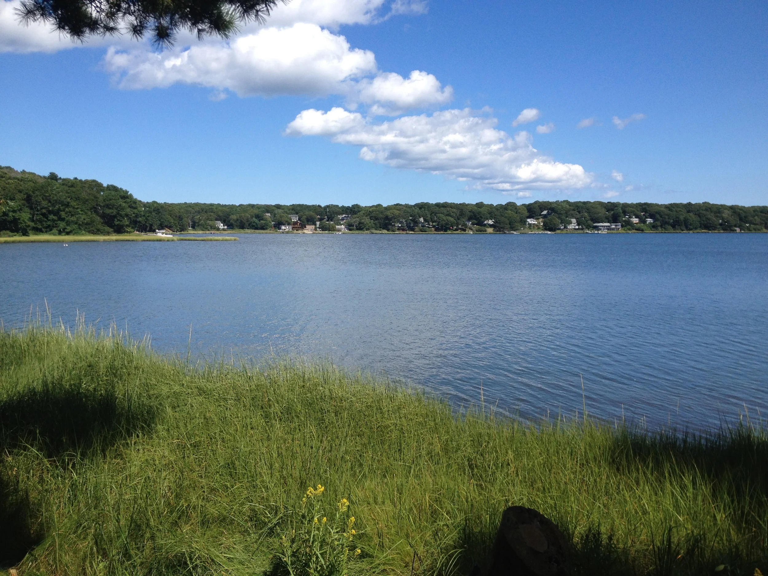Looking for Leif Erikson: A Busman’s Holiday along the Bass River, Cape Cod
