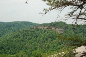 Daniel Boone National Forest, where Cliff Palace Pond is located. Photo Credit: tommrkr