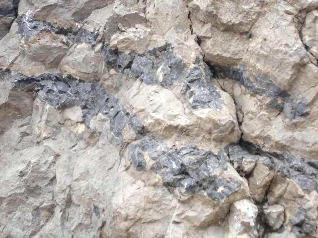An Onondaga chert outcrop near Catskill, New York we have visited for the comparative collection. The chert is the dark stone embedded in lighter limestone.