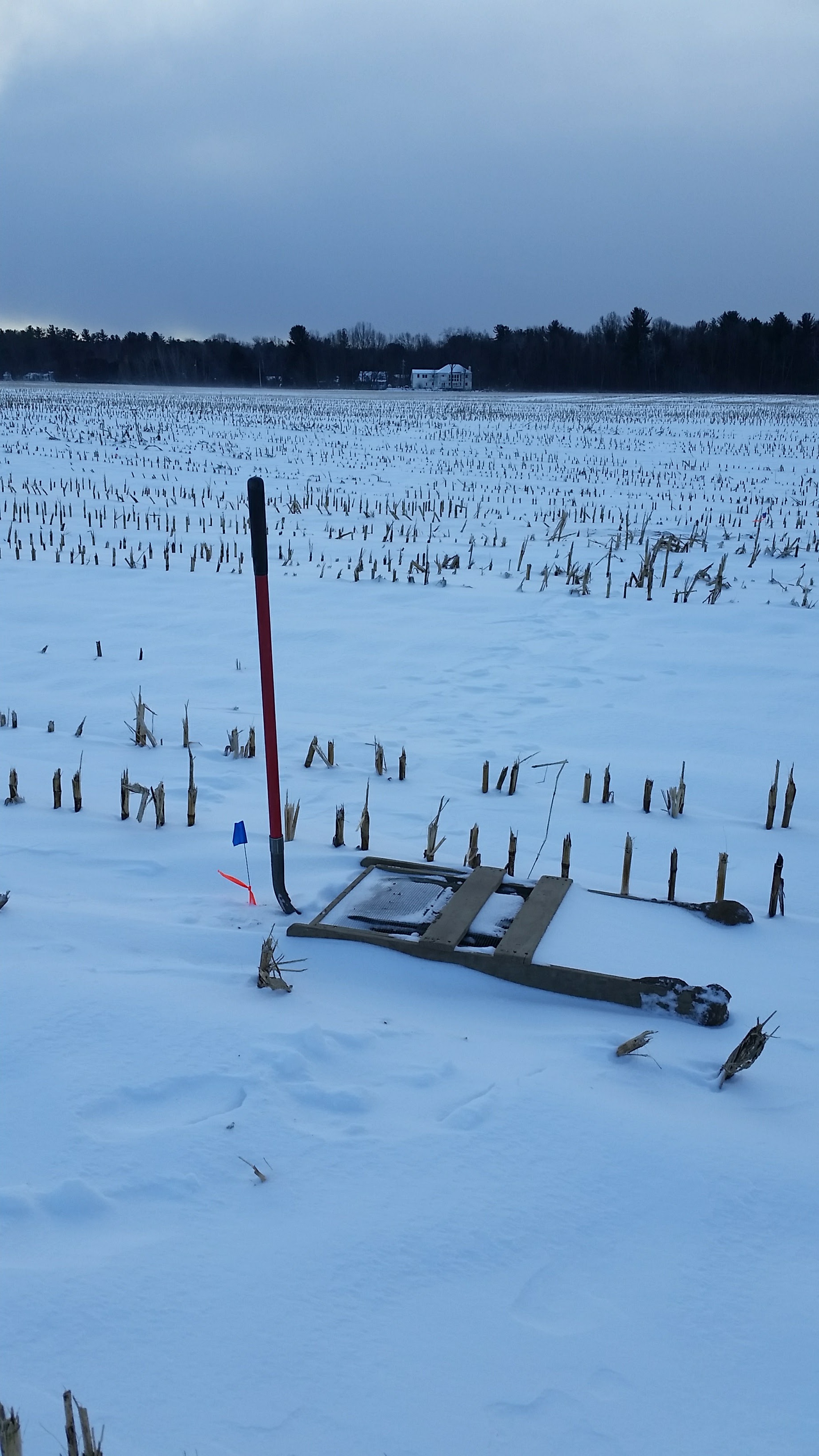 Screen and shovel, awaiting the gloved hands of an archaeologist to continue work in a field near Saratoga Springs, NY. A good example of the snow cover acting as an insulator for the ground beneath.