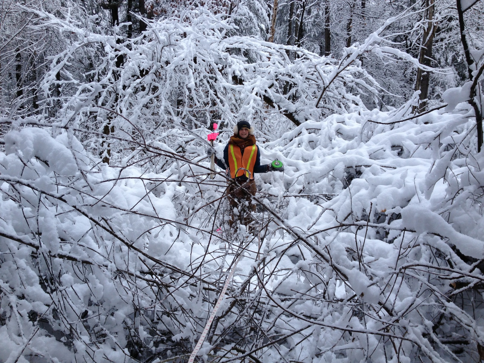 This photo was taken in December, 2014, in some very snowy woods near Saratoga Lake. Now part of a well-known meme, it has circled the globe each of the last 3 winters, reminding us that "If your're cold, they're cold..."