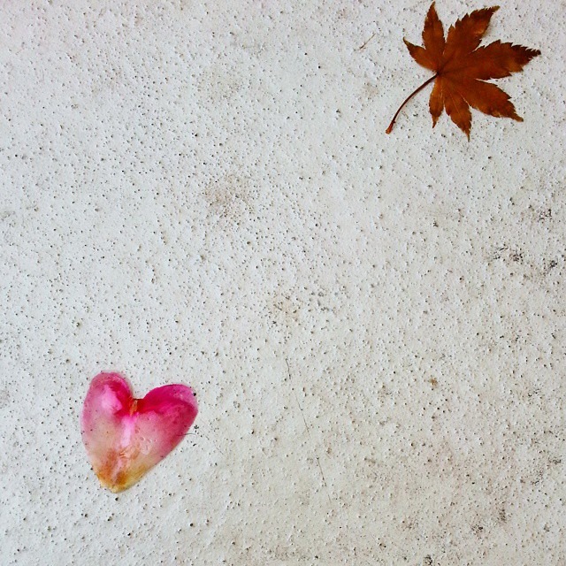 So grateful for my loving and beautiful community