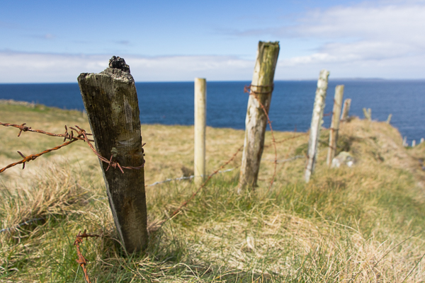 Fences of Moher
