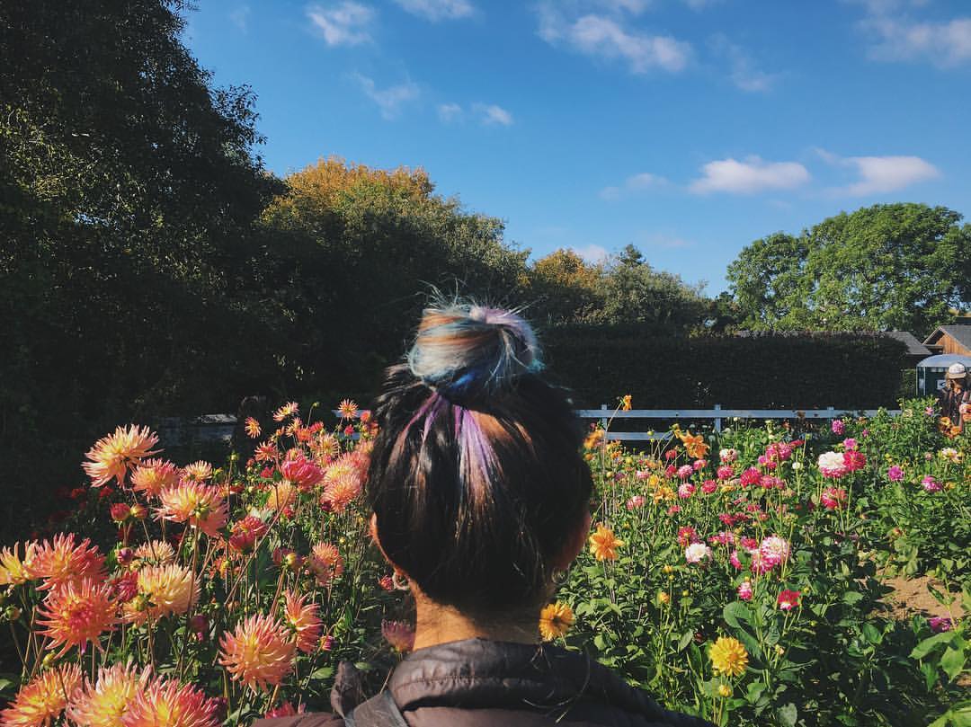 I had no idea how colorful my hair looks from the back. I fit right in with the flowers. Photo credit: Kaitlyn Miller.