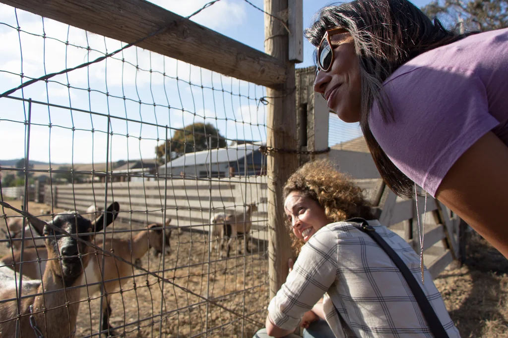 Visiting Harley's Goat Farm. So many cute goats! 