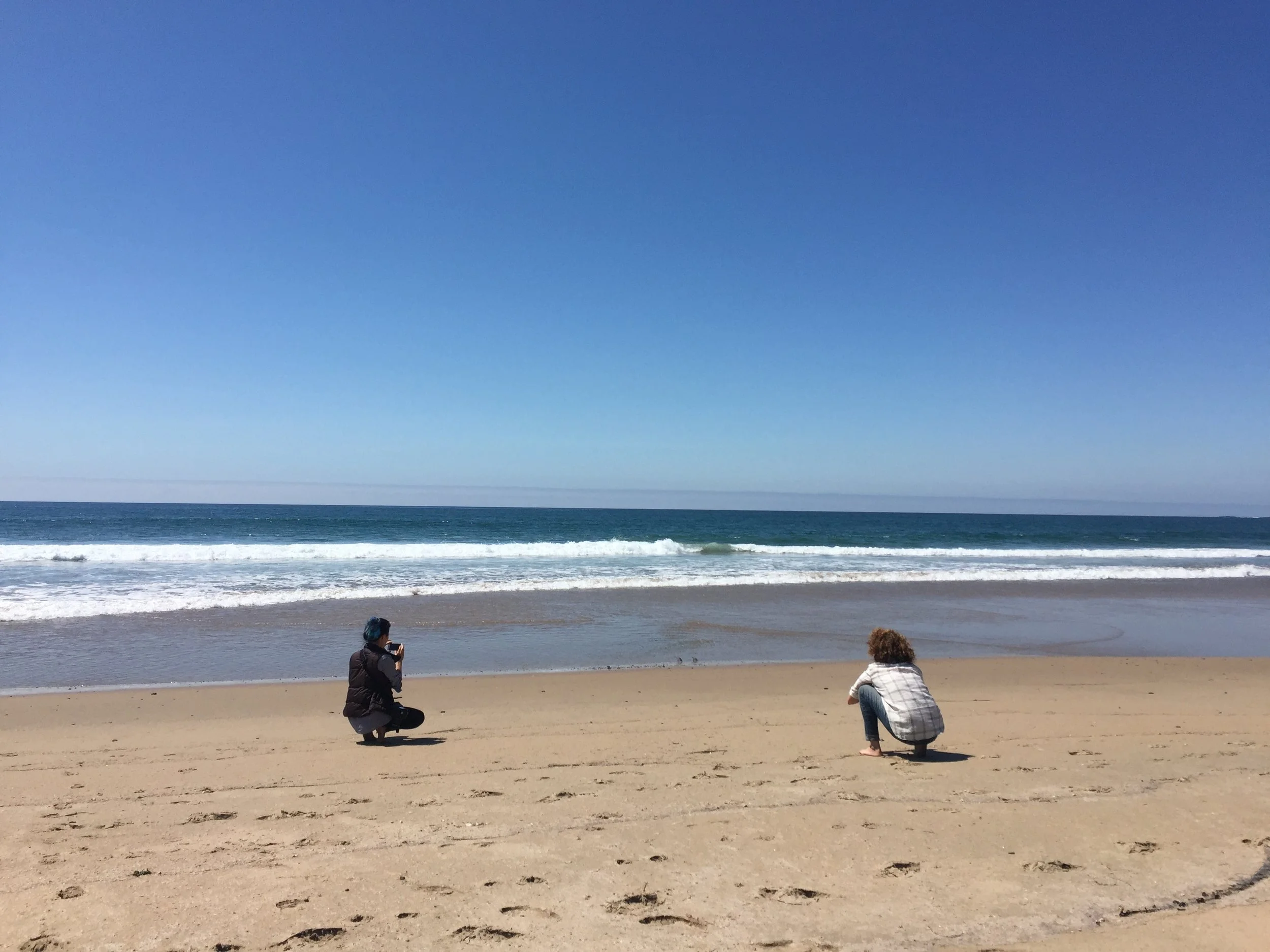 Kaitlyn and I were absolutely taken by the pair of Western Snowy Plovers feeding at the shore. We spent a good chunk of time filming, photographing, and watching them. Photo credit: Alex Lexson.