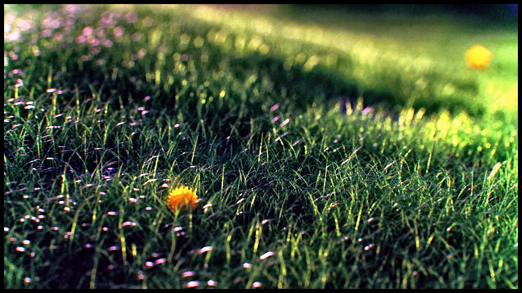 simon-myers-grass.jpg