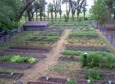 Special at Heartland Farm! Intro to Holistic Management