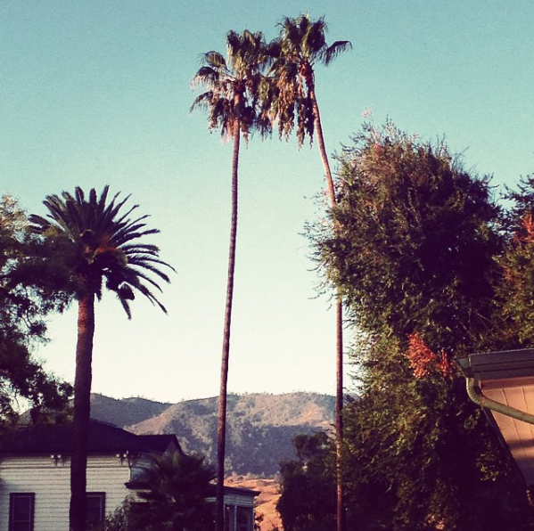 The view from Paicines Ranch, California