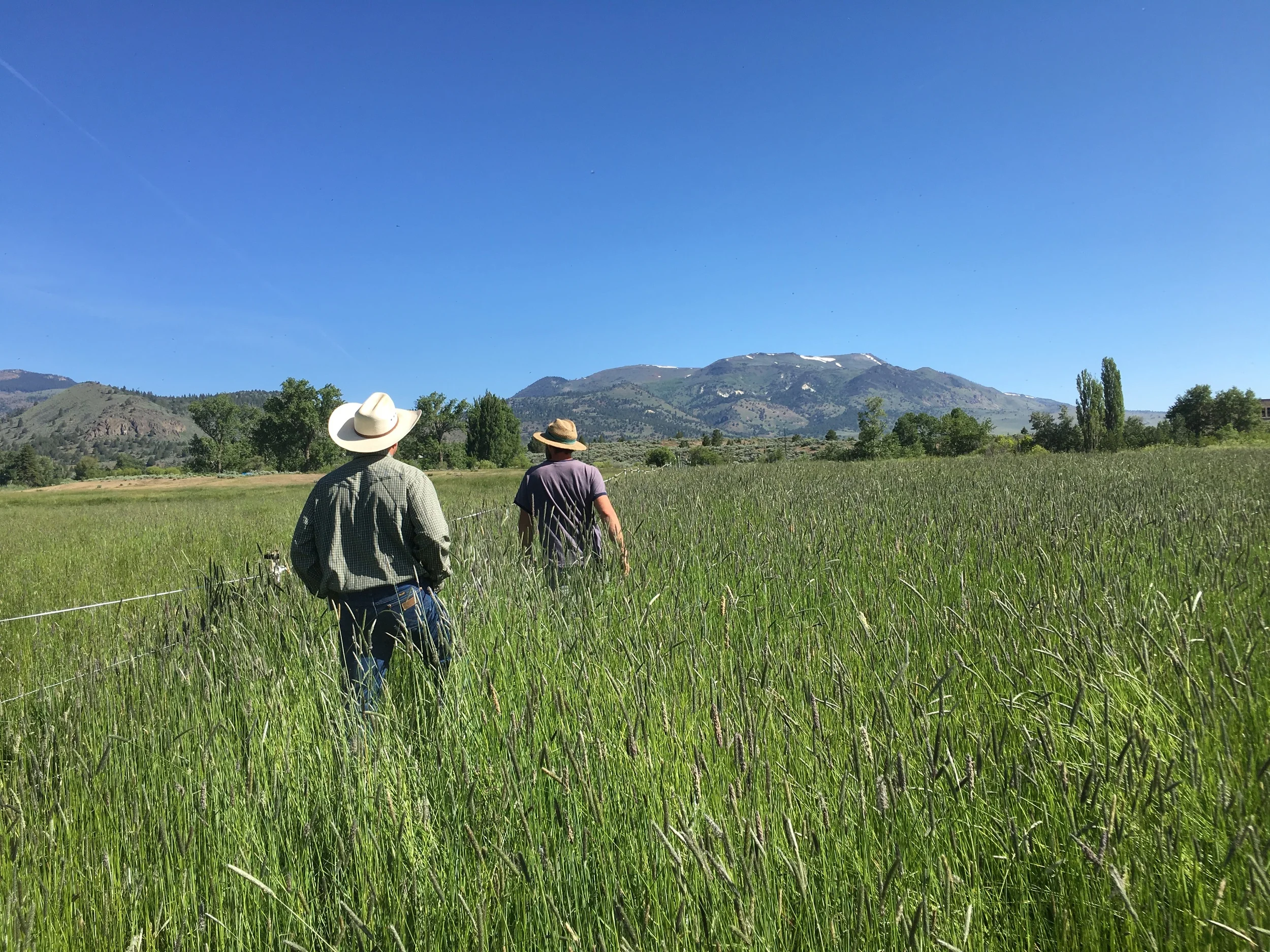 Our consultation of a small-scale farmer's operation.