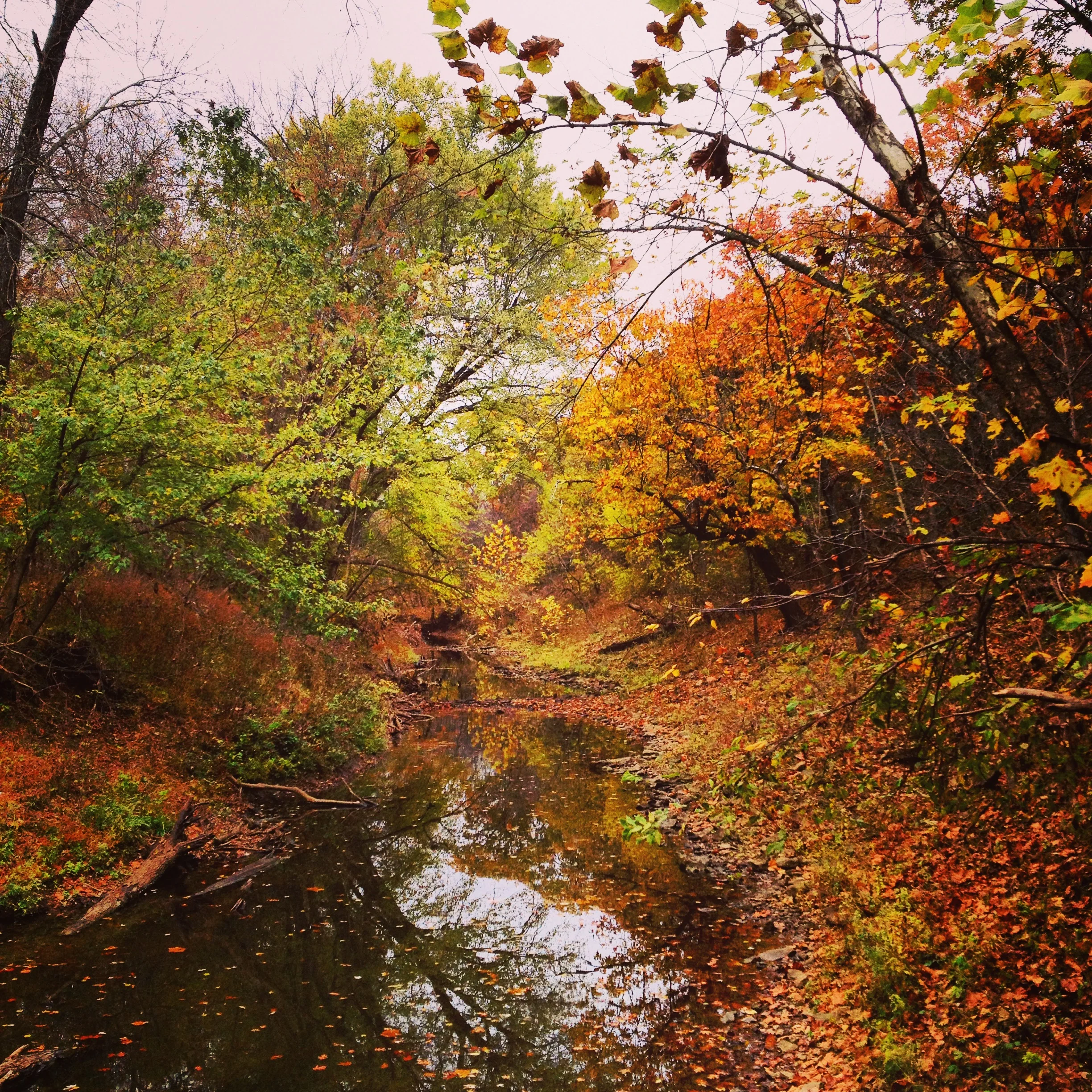 "First Saturdays" Open House