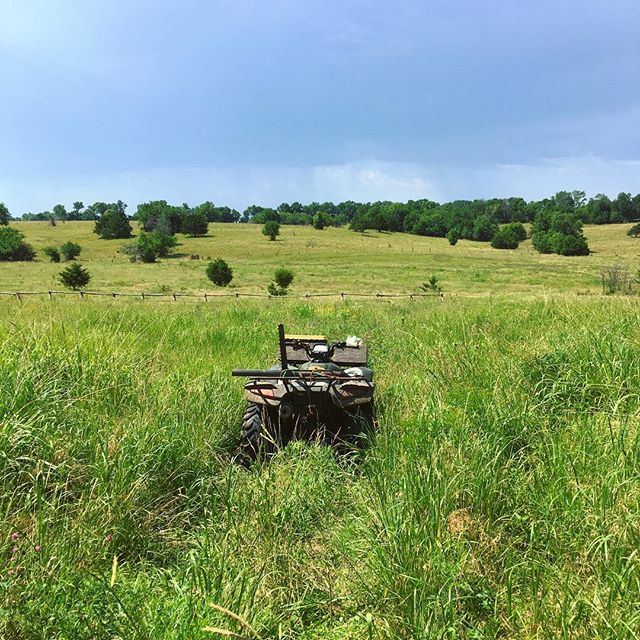 Exploding grass! Without this atv path we wouldn't be able to tell where we're going.. #somuchgreen #holisticmanagement #snapshots