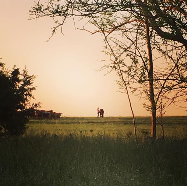 A girl and her horse. Tomorrow she leaves Kansas for her life's adventures, but not before the hardest goodbyes. So grateful for this place that raised her, knowing all she takes into this world to share -- and so excited to watch her fly. Knock 'em 