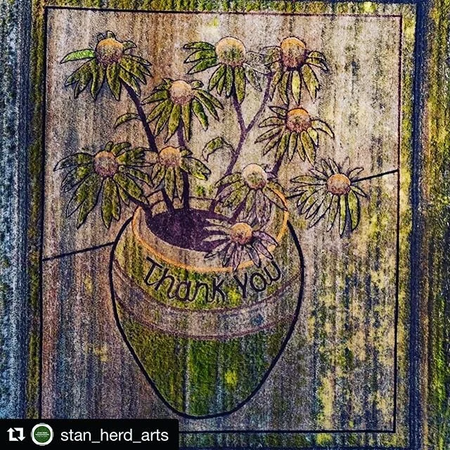 #Repost @stan_herd_arts with @get_repost
・・・
1/2 acre #earthart tribute piece to Covid-19 frontline workers around the world, made by Stan Herd #createartforearth #earthworks #frontlineworkers