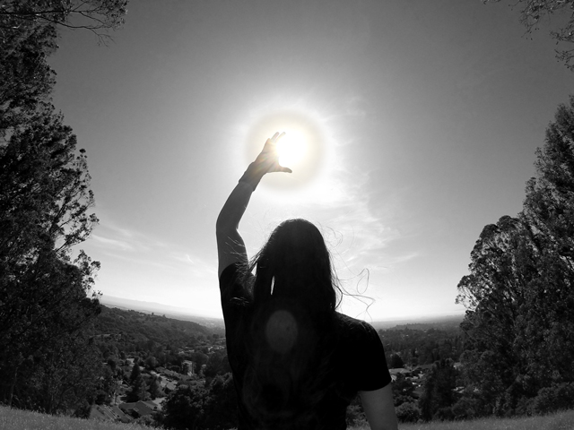 EVOL_SUN.jpg
