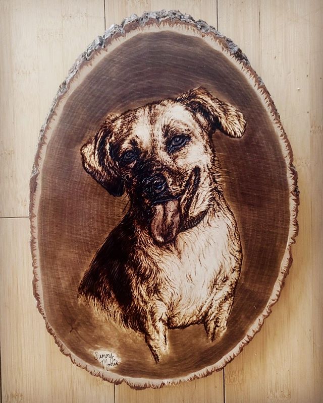 s t e l l a 
A quick re-fresh on one of my early woodburning commissions [before I knew to finish with a blanket of sealant, oops]

It was a real creative treat to revisit this 4 year old burn. Technical skills have since progressed but my brain map 