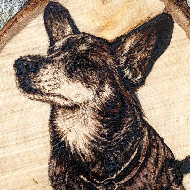 Details on a miniature, ornament-style pyrograph. Burned with my new @razertip burner and micro-carved with an @xactobrand knife.

This piece of wood had a natural dark + thin gnarl in it that I incorporated into the top of the dog&rsquo;s left ear. 