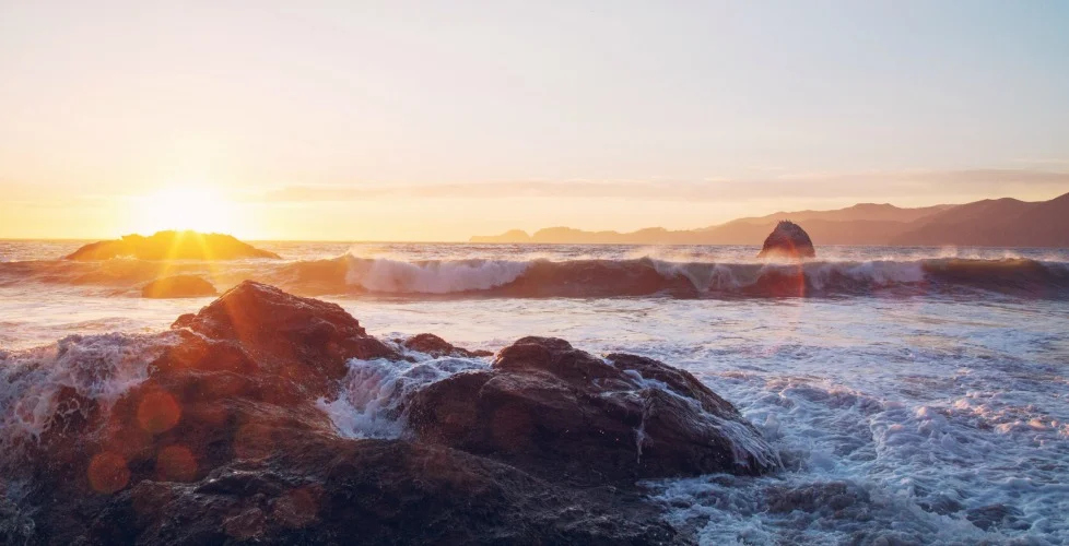 psychologist medicine hat