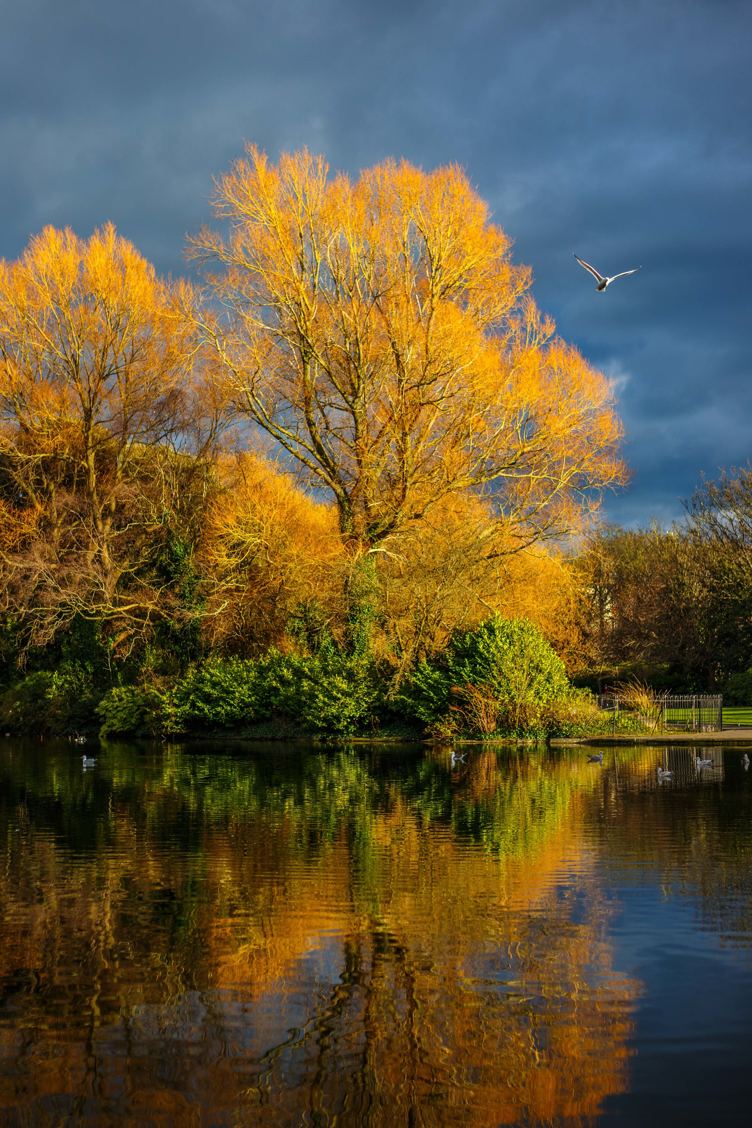 2MB Landscape-1-31.jpg