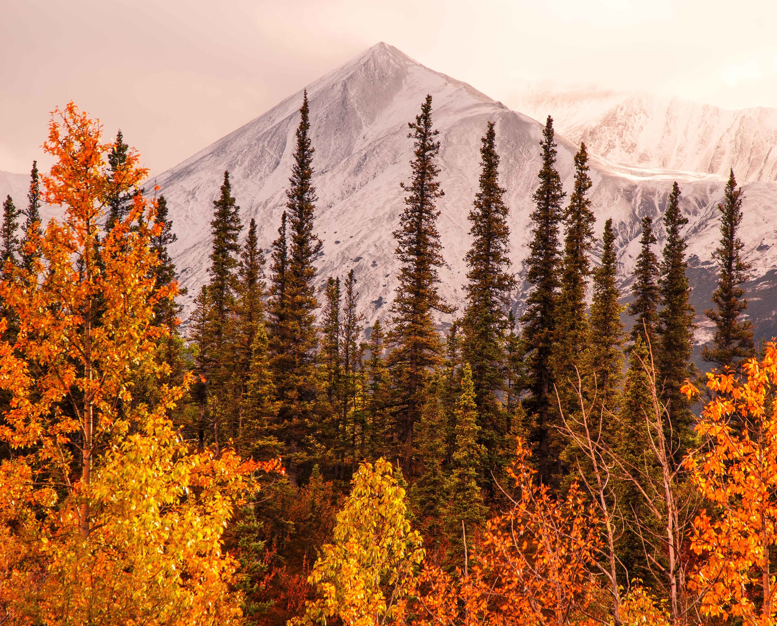 Alaska Fall Colors in August