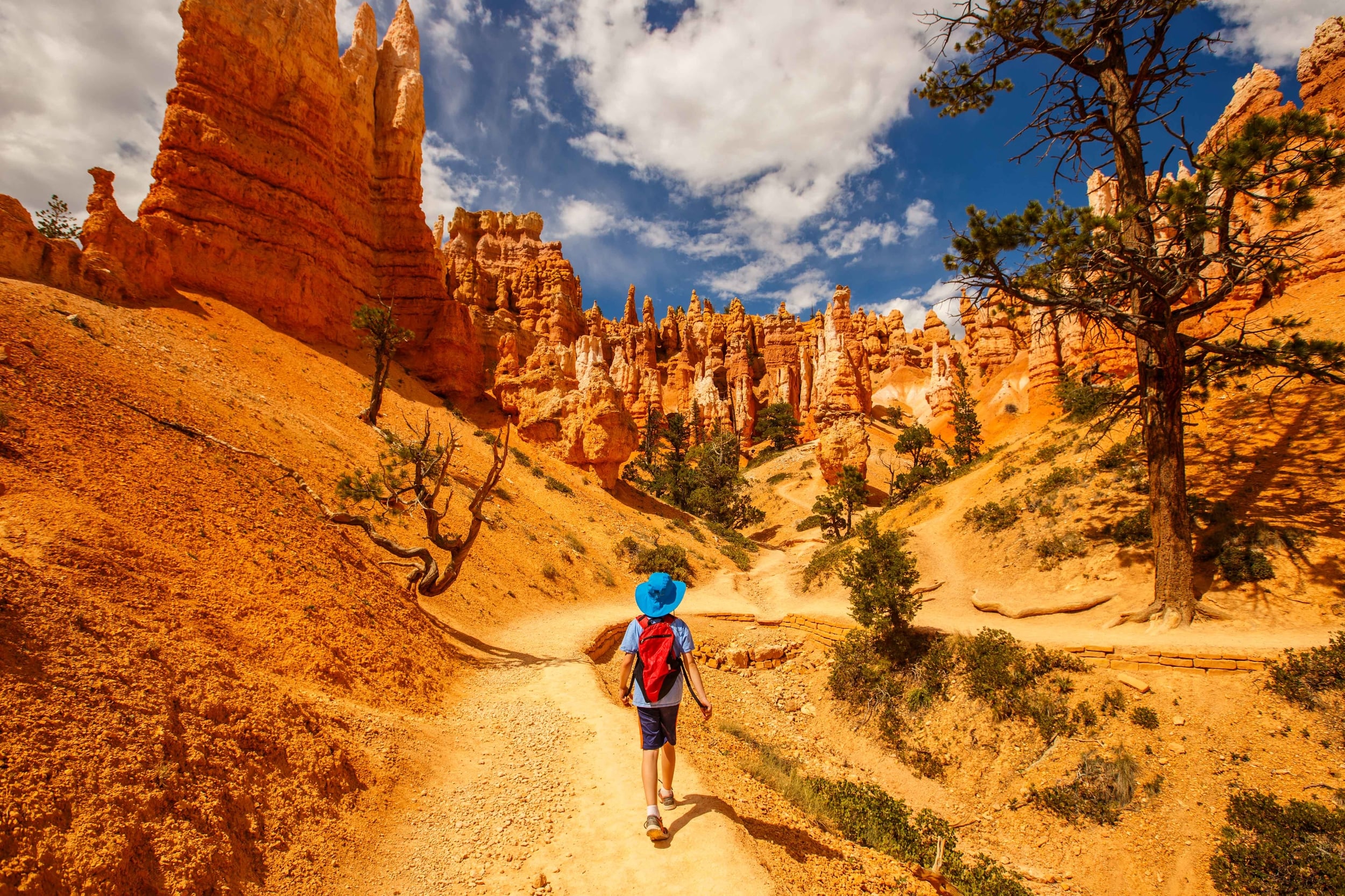 Family walk in Bryce Canyon NP