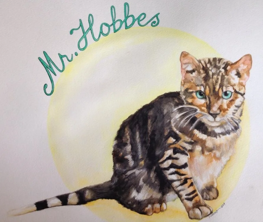 Mr. Hobbes