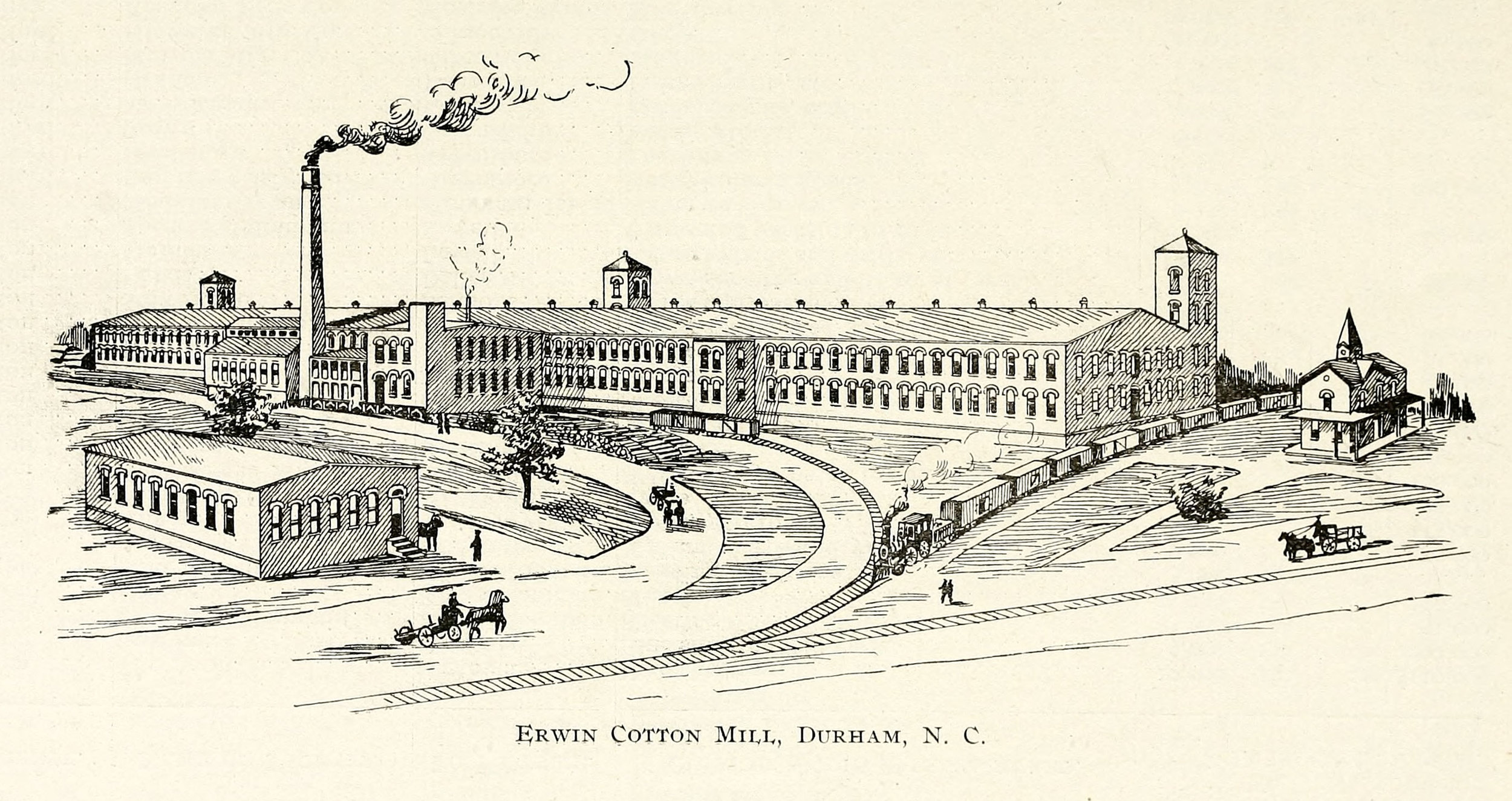 erwin mill illustration.jpg