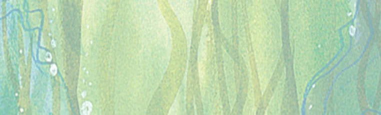 Mastheads2.jpg
