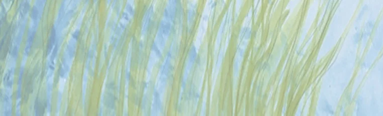 Mastheads5.jpg