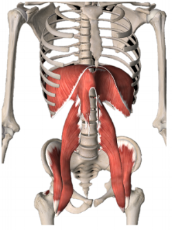 cb625c95-db28-4c40-b9be-f90146e476bf.png