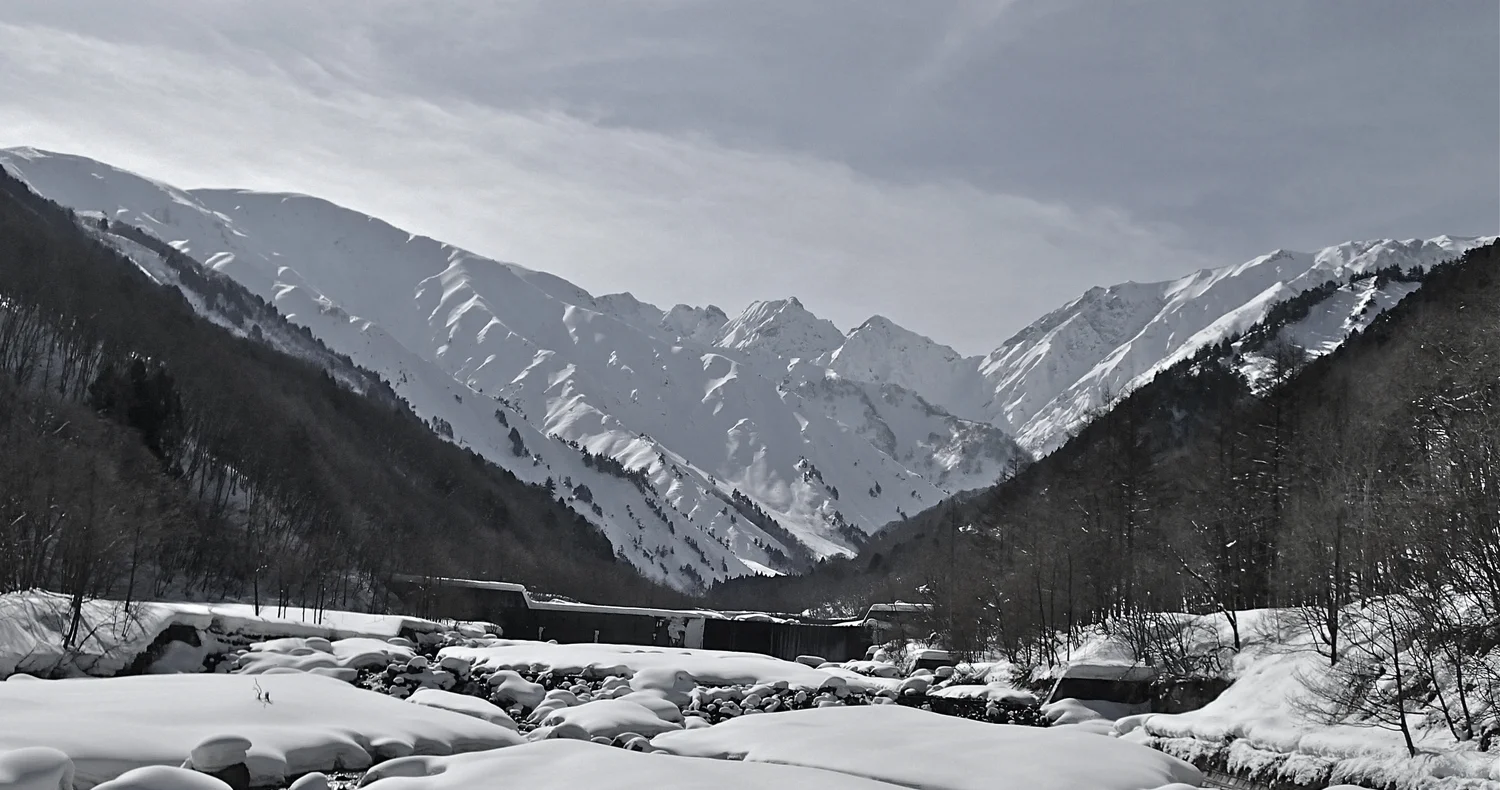 P2130986.JPG