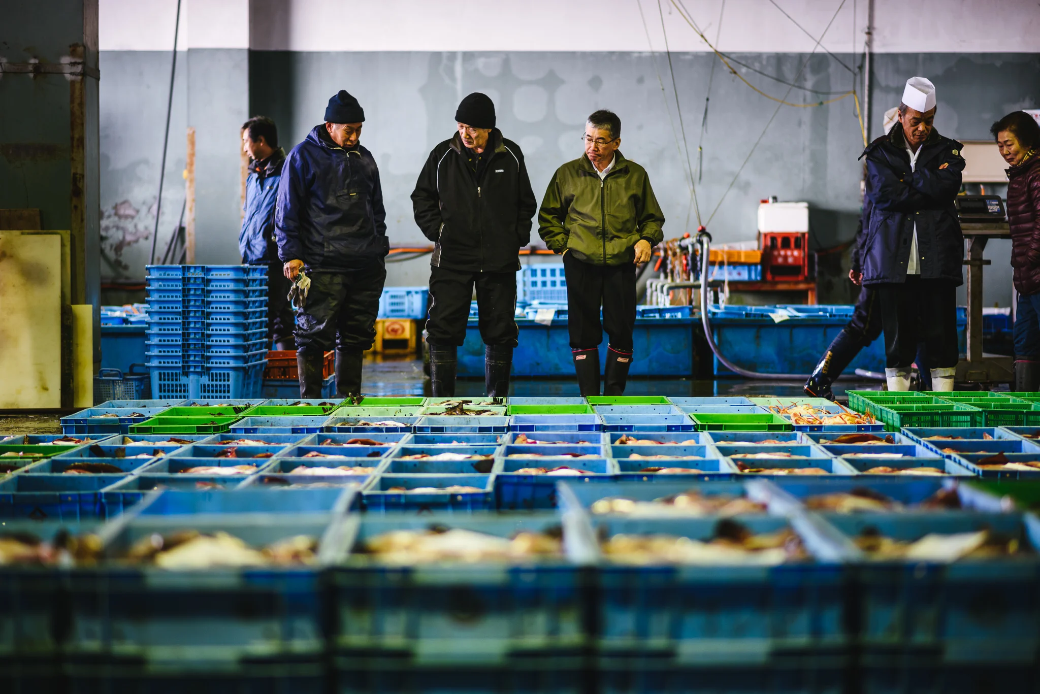 Hokkaido fish market