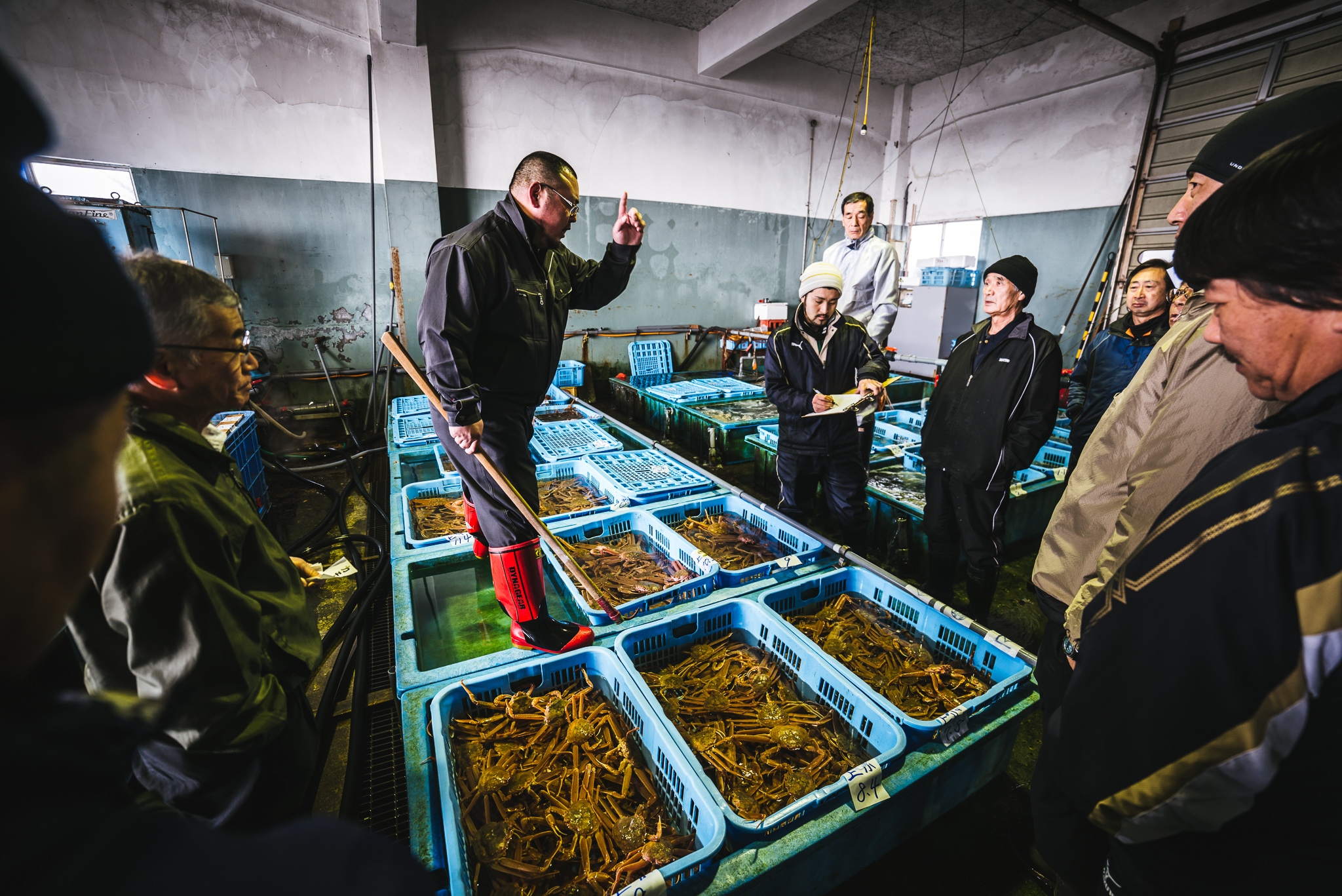 fish auction Hokkaido