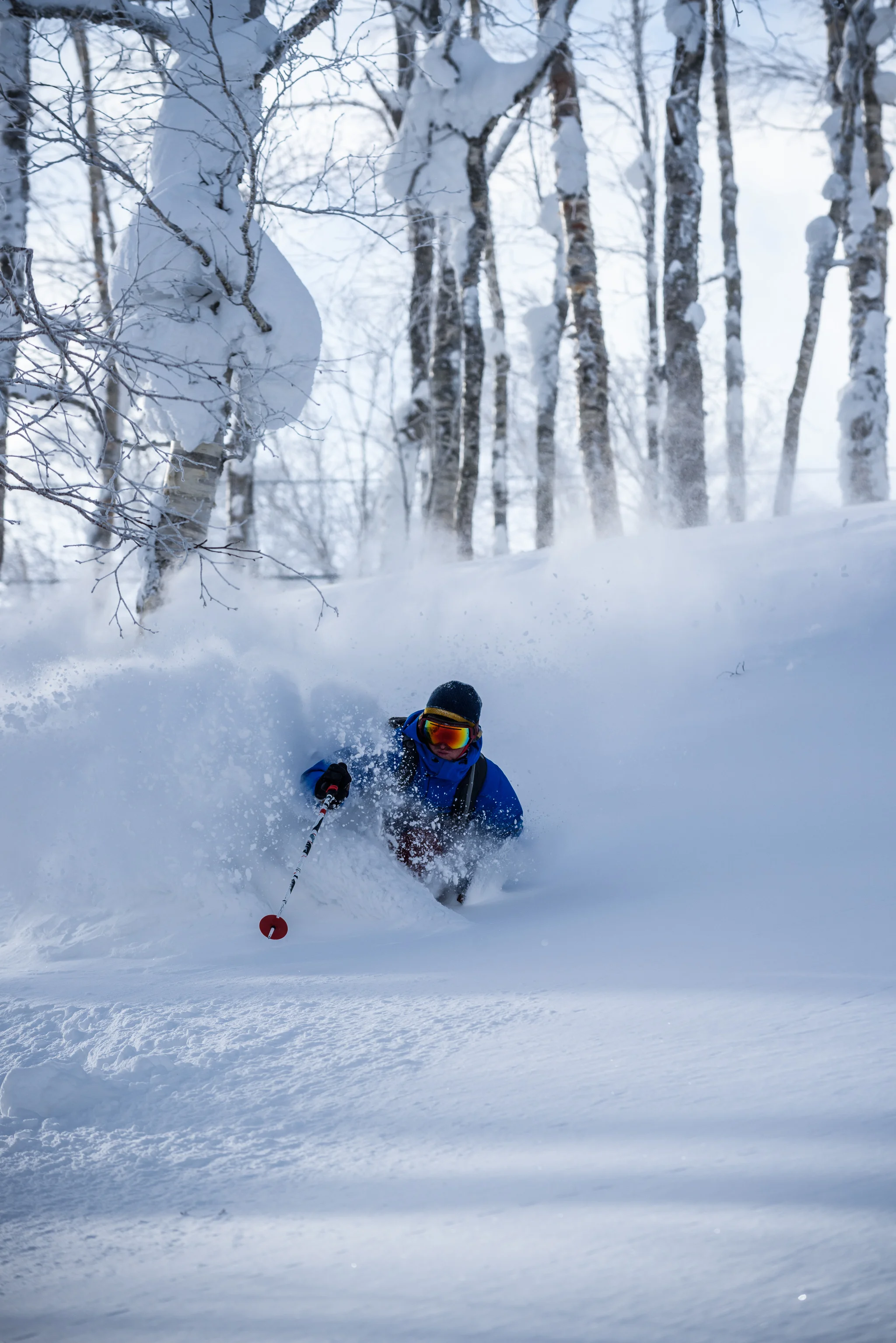 Momoko's Ski Rentals