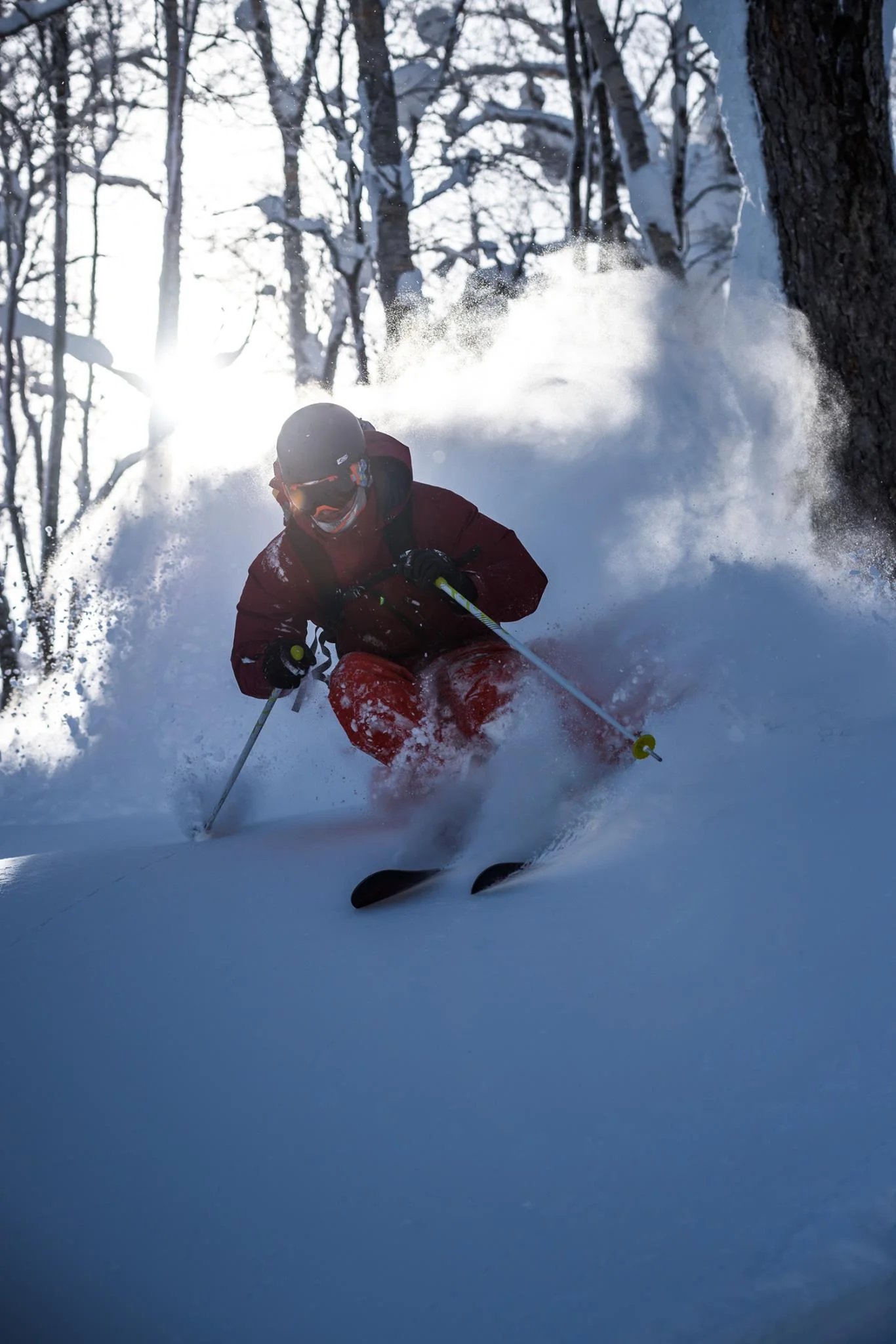 bluebird POW day at Madarao