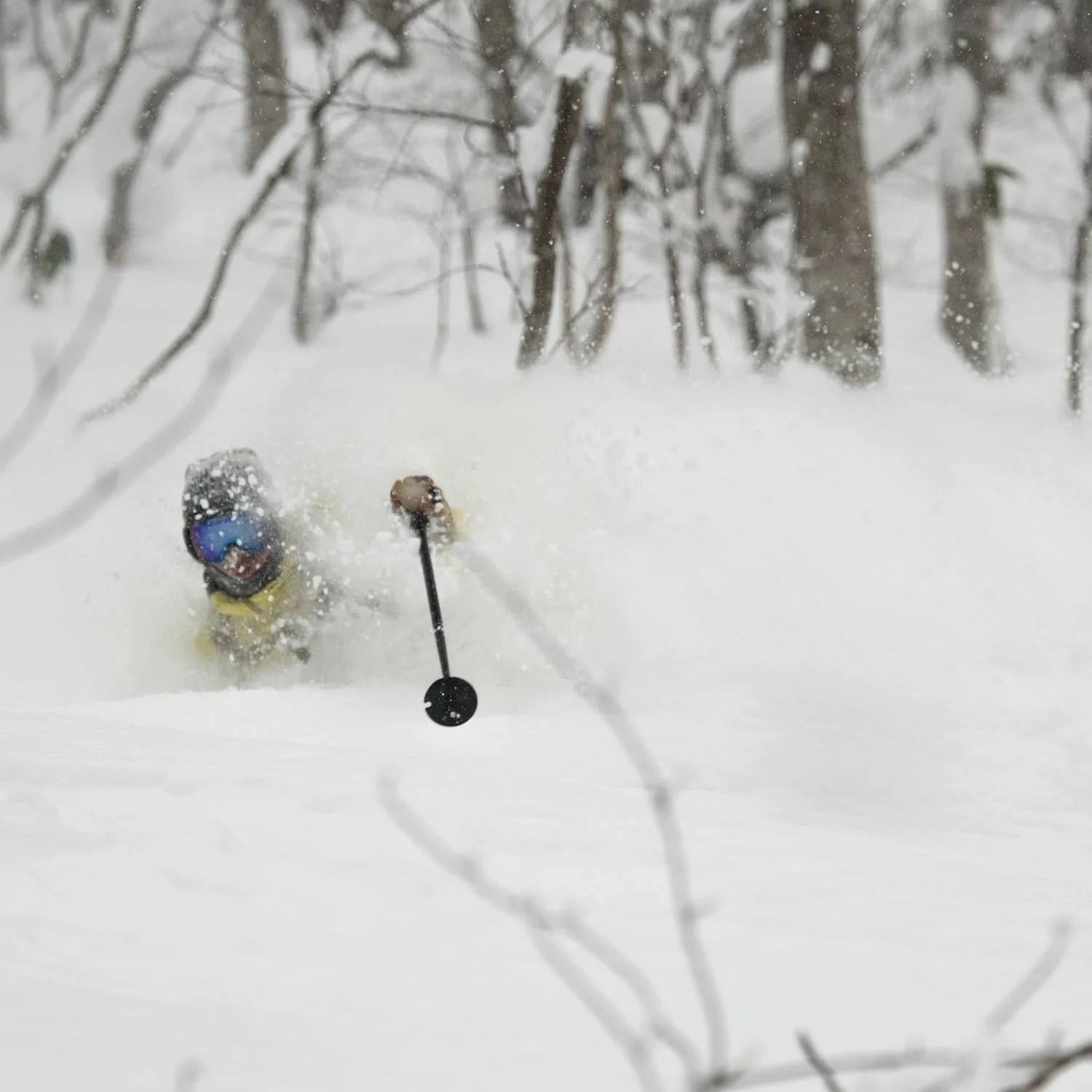 Myoko Kogen.jpg