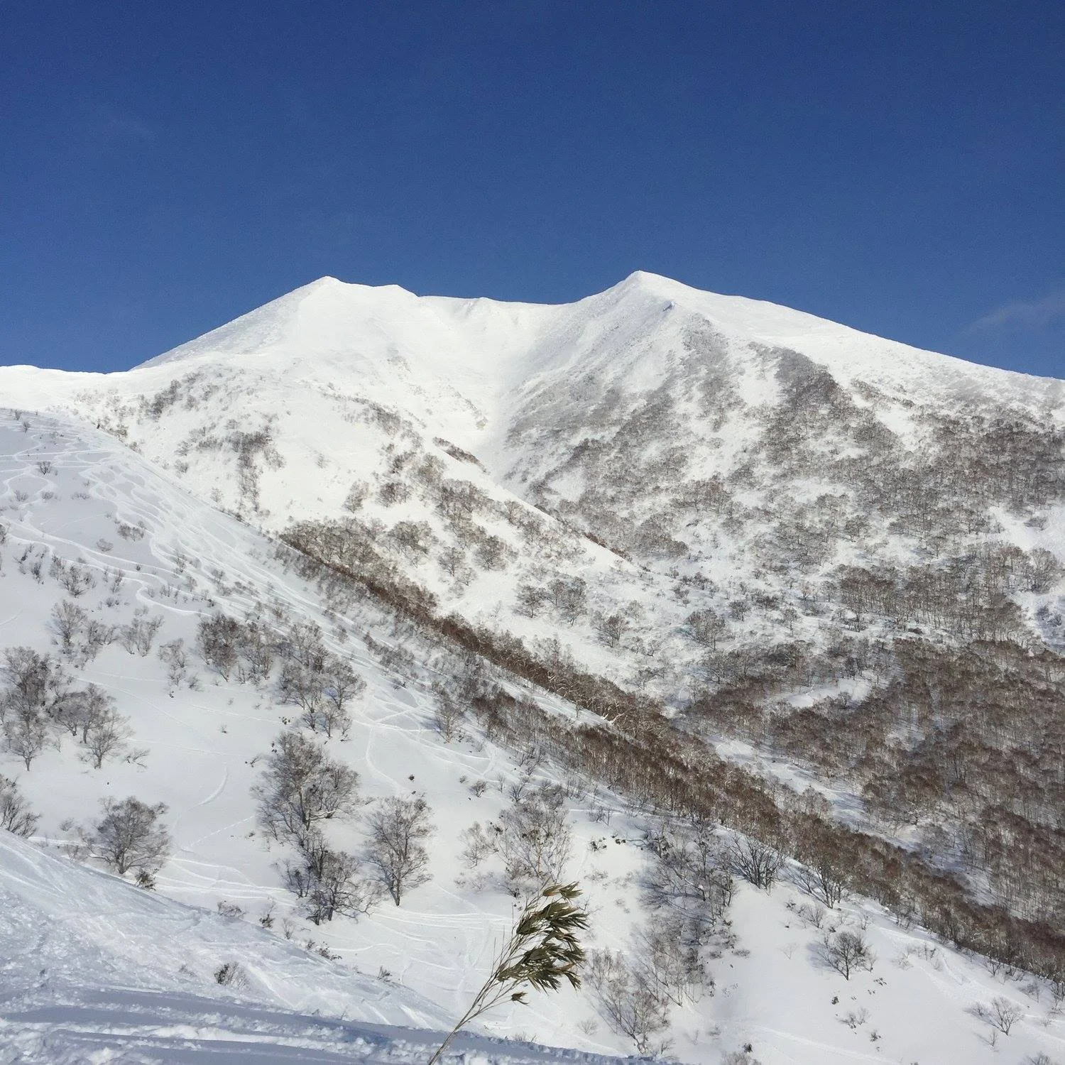 Niseko Moiwa.jpg