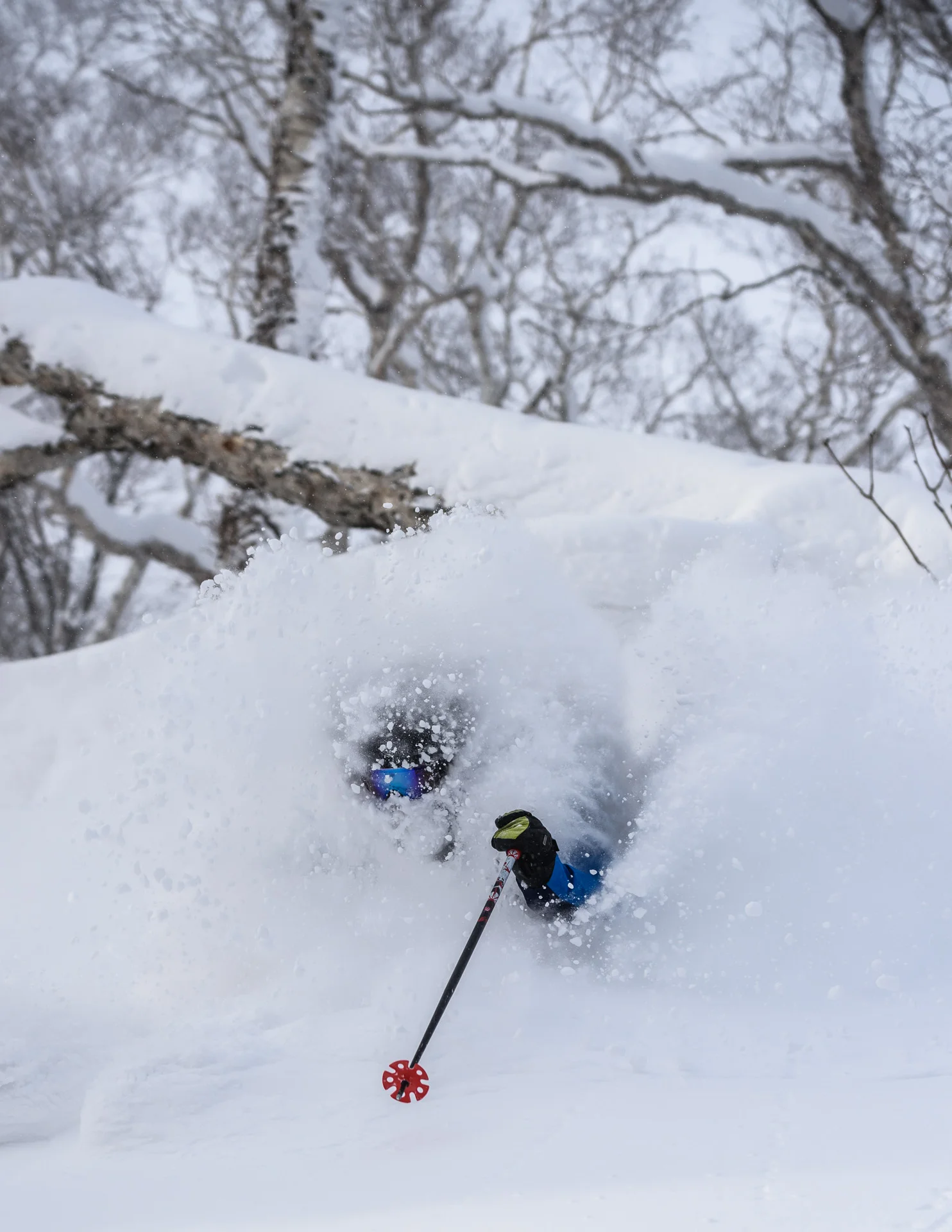 John &amp; Friends | Private Guide: Niseko