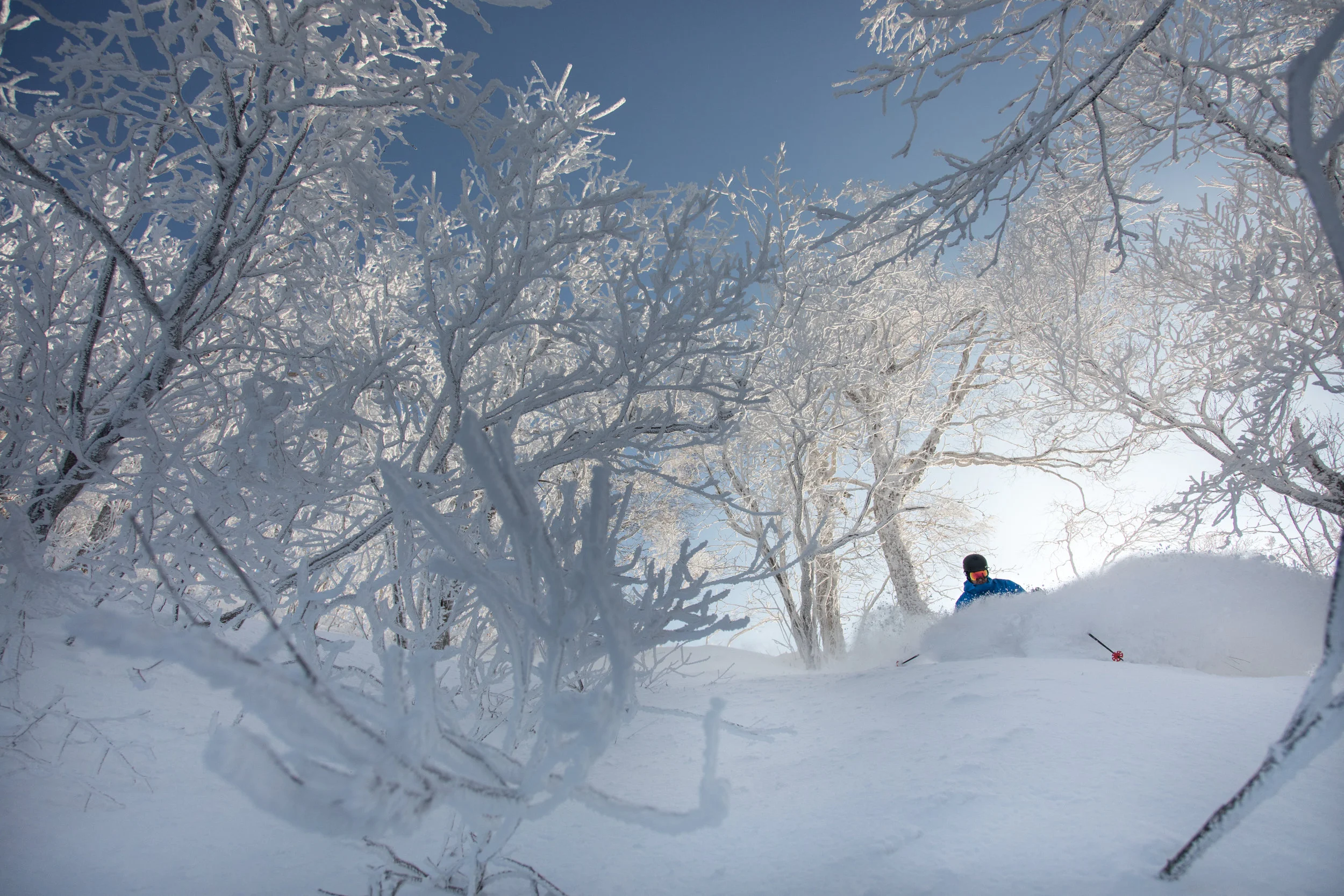 VIDEO | Sapporo Teine