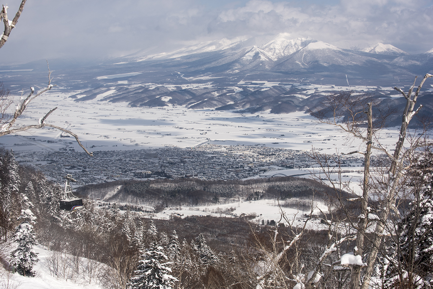 DSC_2973.jpg