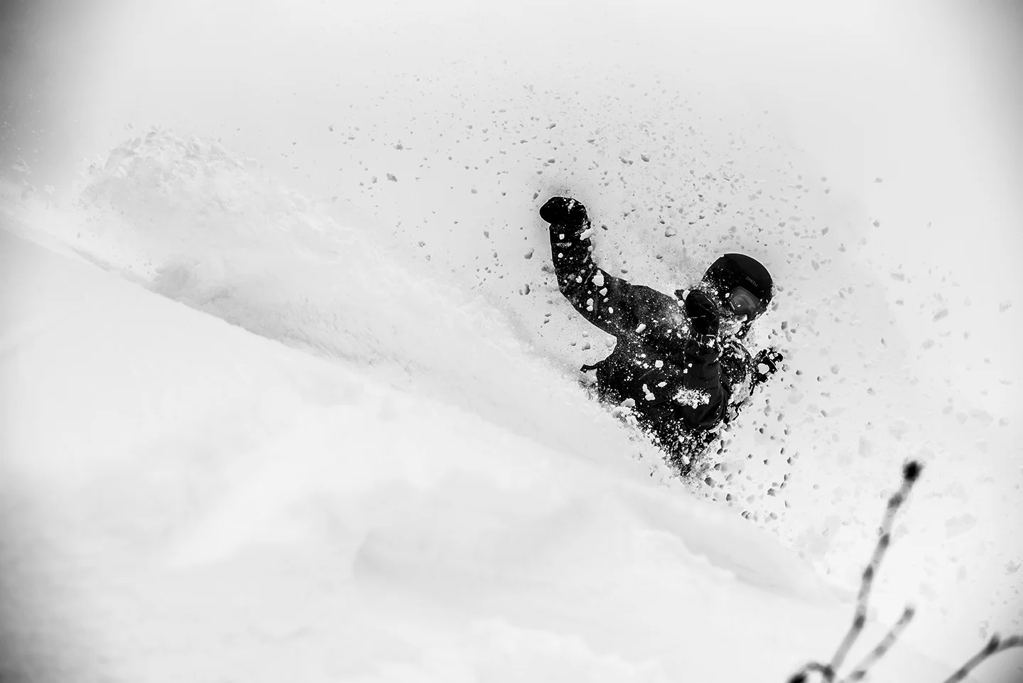DSC_3875.jpg