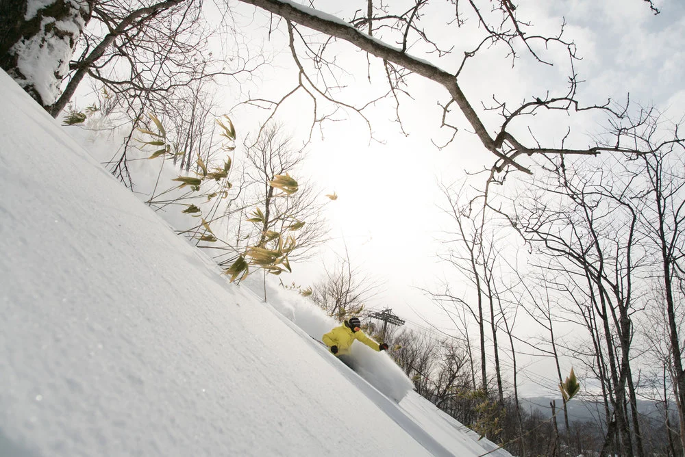 Yubari+ski.jpg