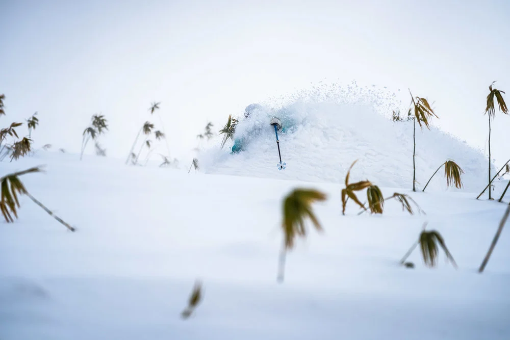 early season conditions