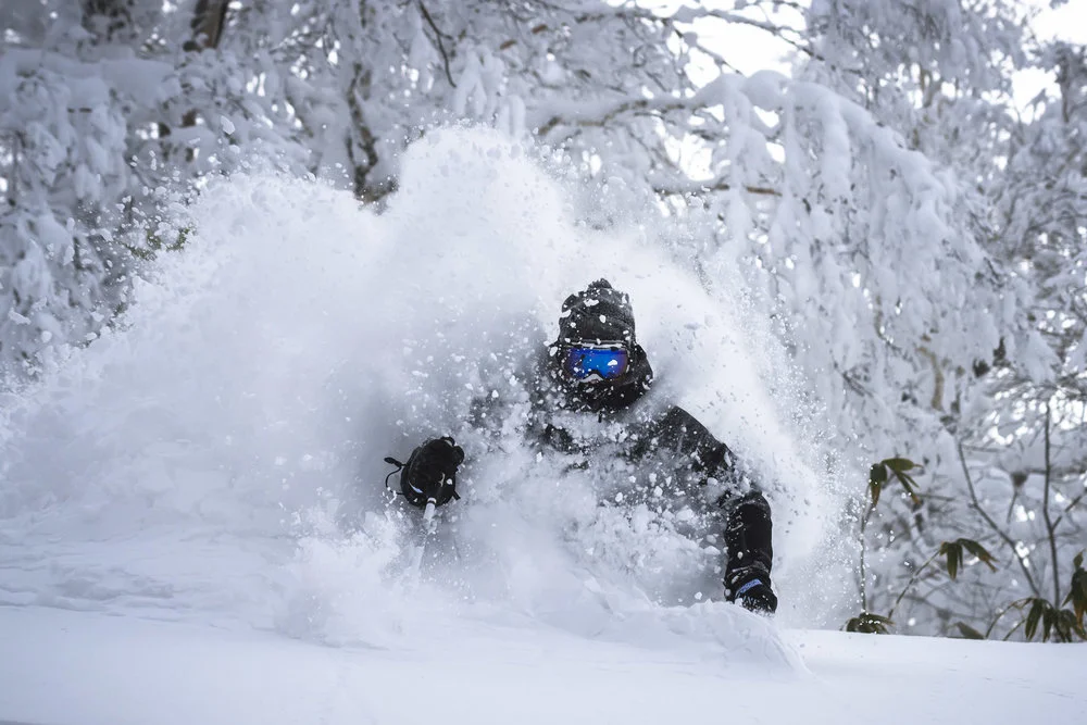 February conditions in Japan