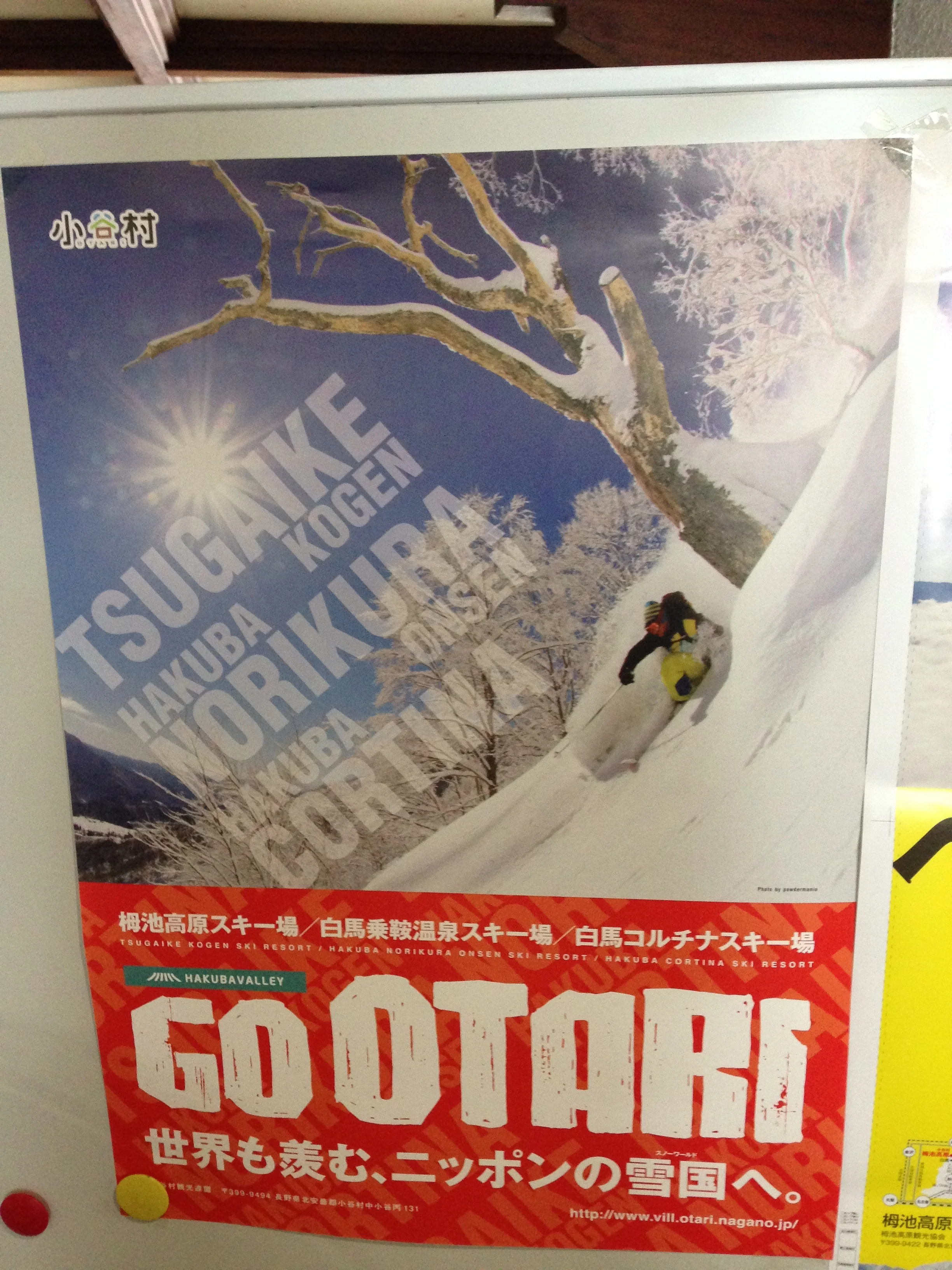 Hakuba Cortina photo.JPG