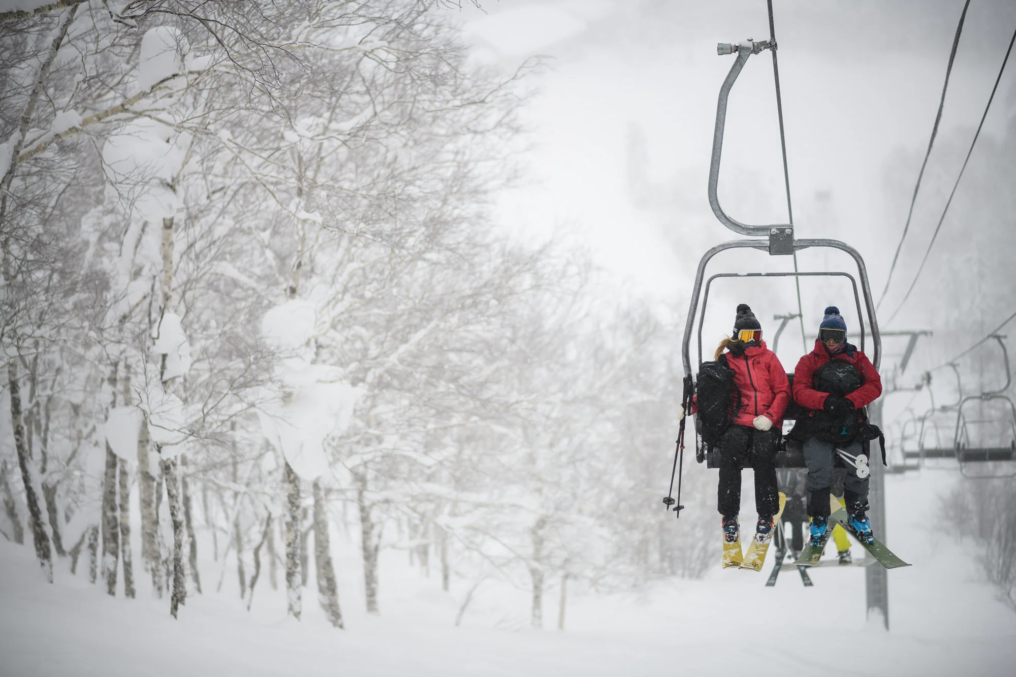 190208_Furano_8507805.jpg