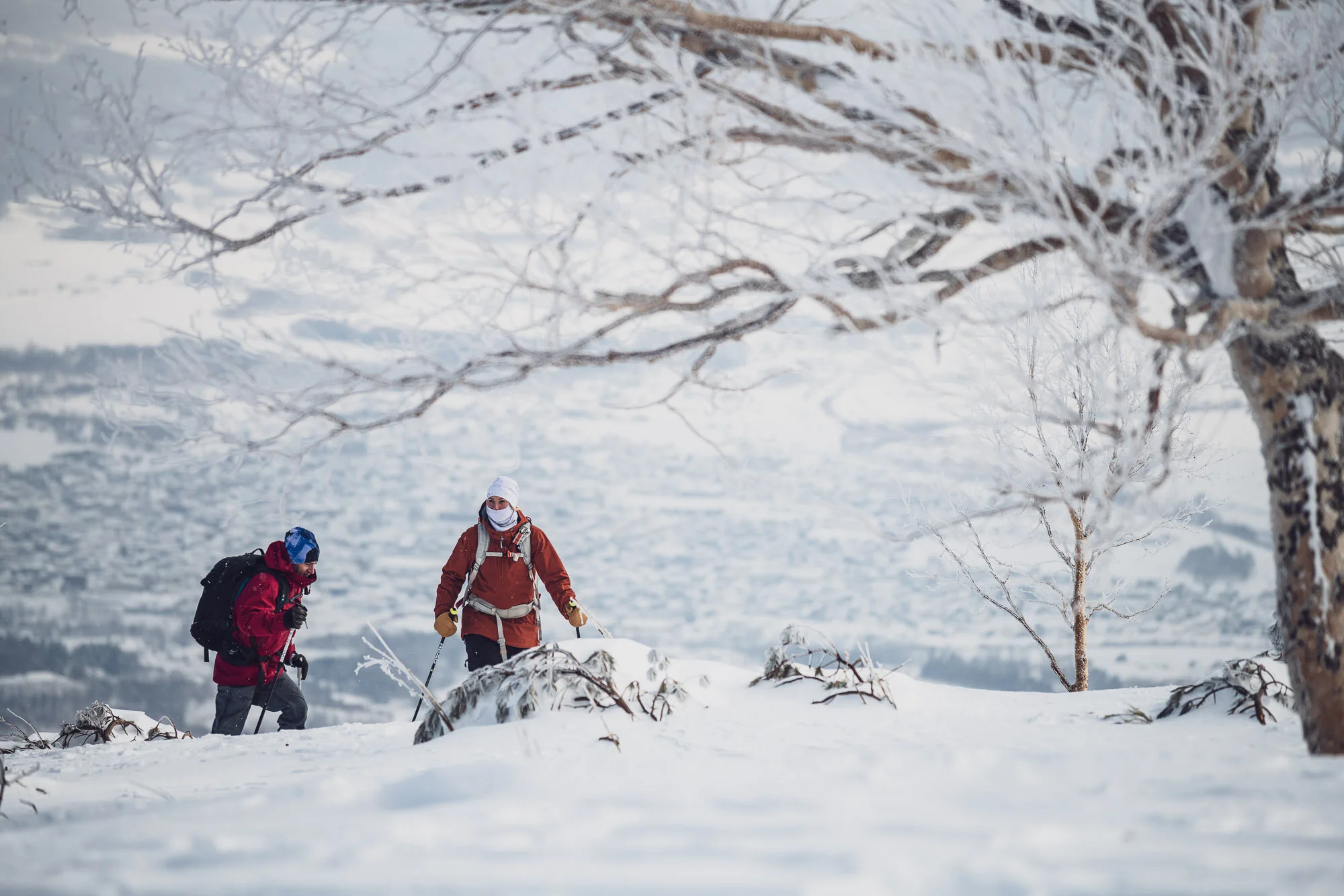 190216_Niseko_8503446.jpg