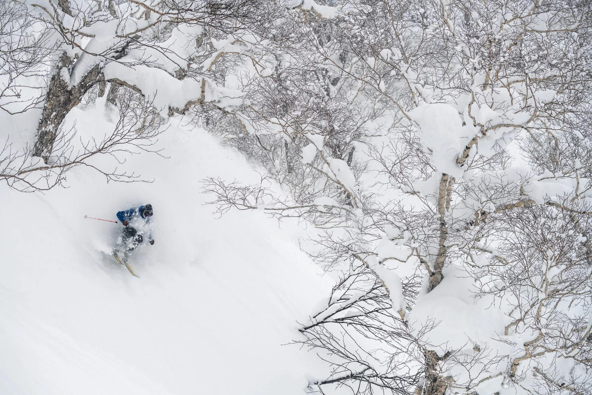 Alex Migicovsky Hokkaido Adventure 