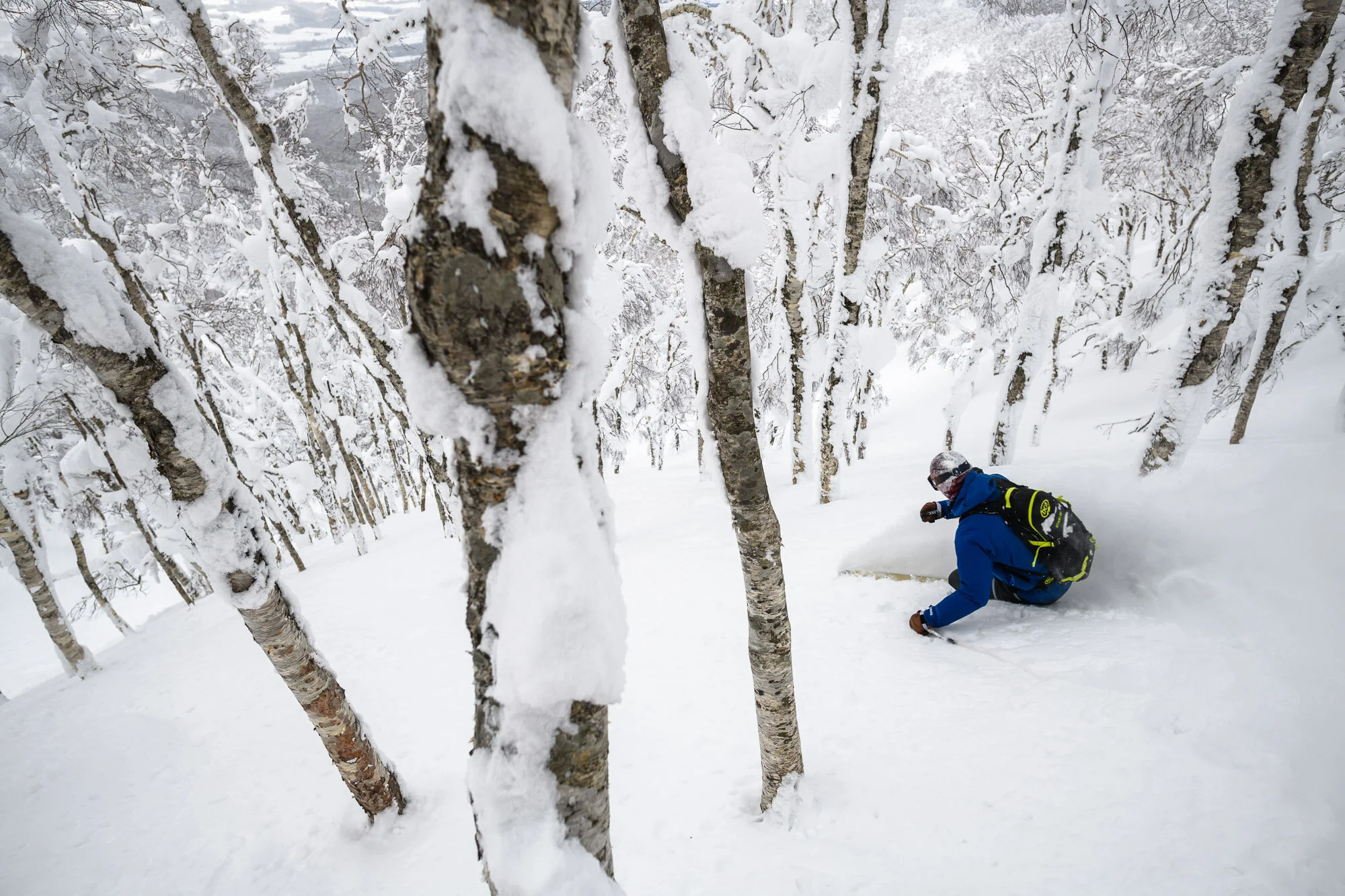  Zach Singer Private Guiding
