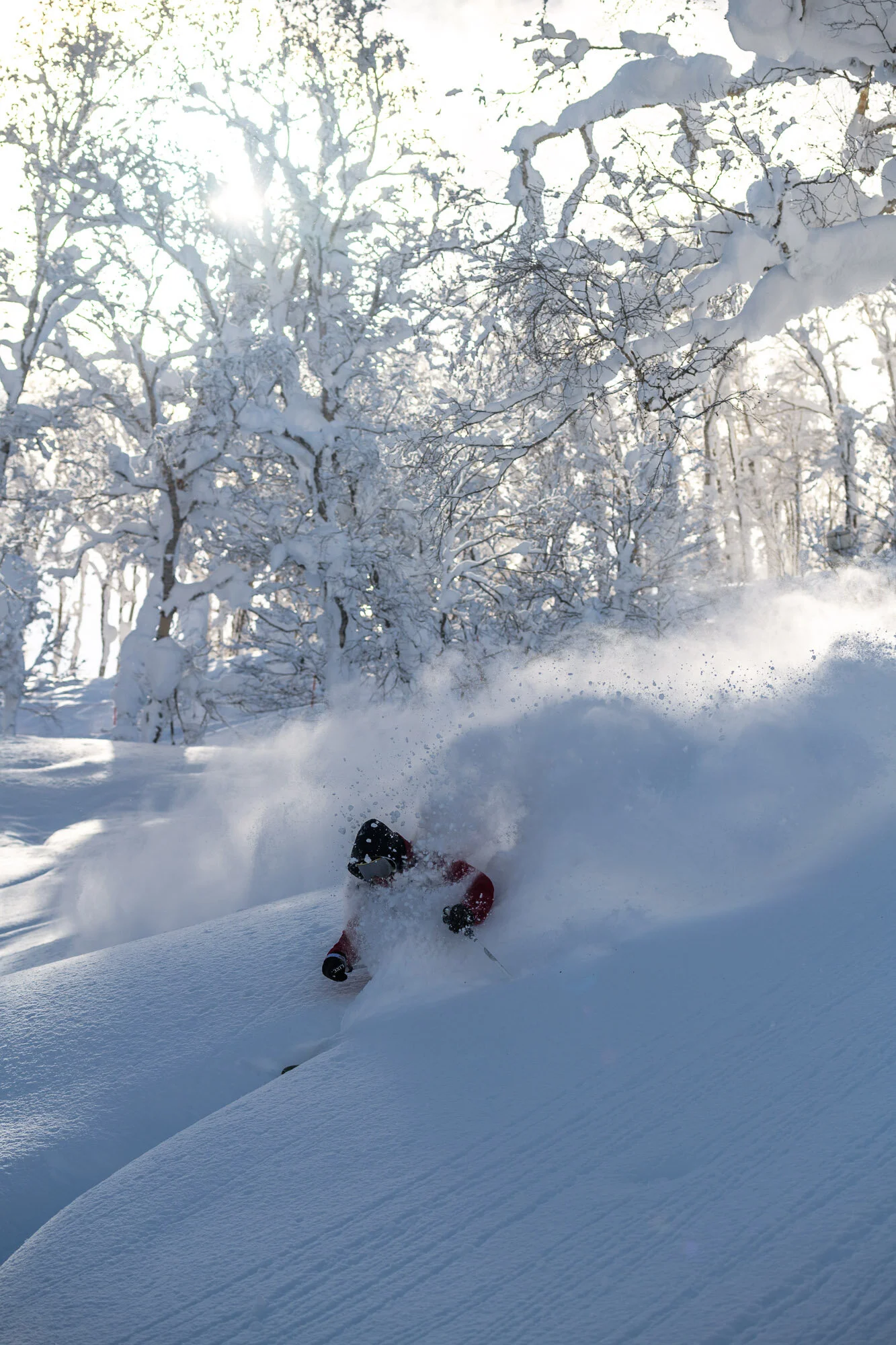 Jaime Novais and Group ski Hakuba